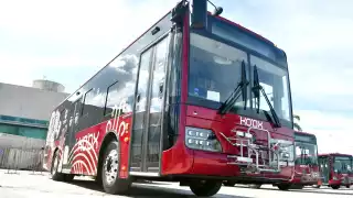 Fideicomiso de Movibus busca garantizar créditos para renovar el transporte Ko'ox