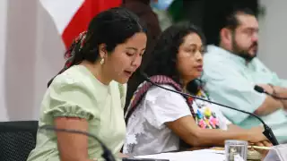 Por unanimidad, la propuesta se admitió en Comisiones y pasa al pleno, donde se analizará mañana