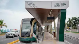 Tren Ligero inicia operaciones en Campeche: estas son las señales y normas que debes conocer