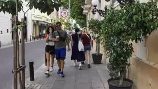 Ya se han entregado 31 mil árboles como parte del esquema.