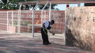 Hasta la fecha, se han registrado entre 30 y 40 escuelas afectadas por robos