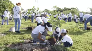 Se plantaron árboles de Campanita, Balche, Chacte, entre otros