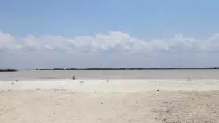  Semarnat dio luz verde a un proyecto inmobiliario en San Bruno.
