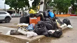 La basura crece, pero todos podemos ayudar: saca tus desechos a tiempo