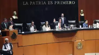 La Cámara baja recibirá a 12 políticos locales y la alta, a cuatro