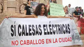 Activistas se manifiestan en contra de las calesas de caballos en Mérida