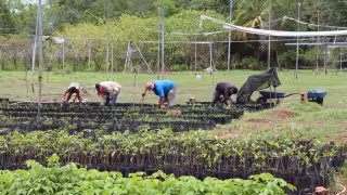 Bancampeche coloca 155 créditos y reporta casi 400 empleos conservados