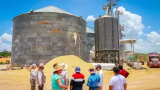 Plan México y Plan Campeche dan sus primeros frutos en producción de arroz