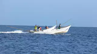 Las embarcaciones yucatecas retornan con entre mil 500 y mil 800 kilos de mero