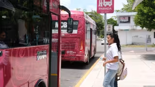 Por el momento, 25 de las 32 concesiones realizan traslados a las comunidades. Hasta el lunes, el transporte público será gratis en el tramo Sian Ka’an-Las Américas