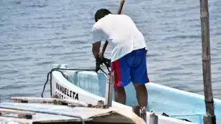 Captura de pulpo en Campeche a la baja a seis días de iniciar la temporada