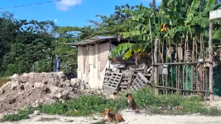 La mayor marginación se concentra en municipios de la zona maya y sur de la entidad