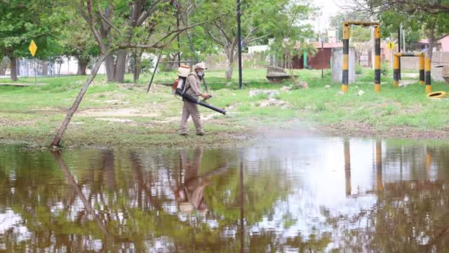 Abatizan Paseo Verde y Paseo Henequenes para proteger la salud de las familias