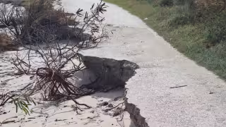 Ecologistas llaman a modificar hábitos cotidianos