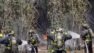 Bomberos controlaron el incendio de maleza antes de que se extendiera a viviendas