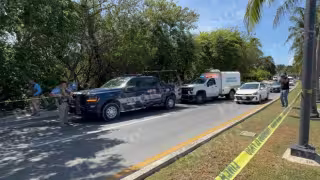 Hallan cuerpo sin vida en zona de manglar de la Zona Hotelera de Cancún