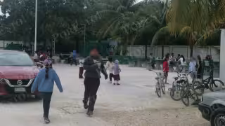 Planteles de educación básico registraron asistencias de hasta el 20%