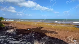 Lluvias benefician a pescadores de María Elena y Punta Herrero ante falta de agua
