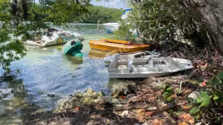 Trabajan de manera conjunta la Comisión Nacional de Áreas Naturales Protegidas, Asociados Náuticos de Quintana Roo, la Capitanía de Puerto y el Ayuntamiento de Benito Juárez