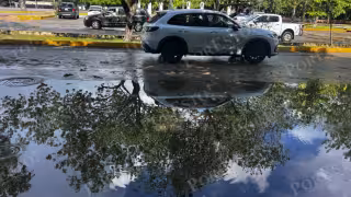 Habitantes de Playa del Carmen pidieron al Ayuntamiento implementar brigadas de limpieza y desazolve antes de la temporada de lluvias