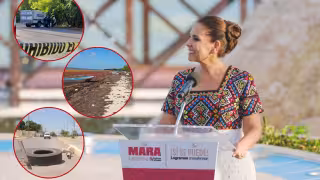 Mara Lezama