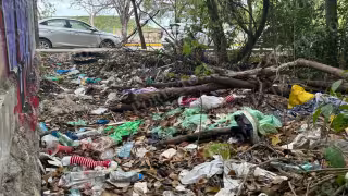 Entre bolsas reventadas y residuos de todo tipo, el lote se ha convertido en foco de infección