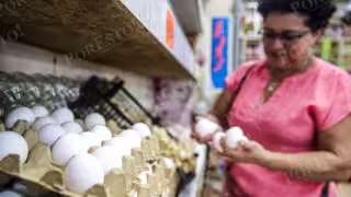 Profeco monitorea insumos indispensables para una familia de cuatro integrantes, como aceite, granos, huevo, lácteos, frutas, verduras, tortilla, papel higiénico y jabón