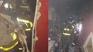 El gato fue rescatado del interior del departamento y entregado a sus propietarios tras resultar afectado por el humo y el calor
