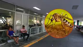 Habitantes pidieron intensificar campañas de fumigación para evitar más enfermos o muertes.