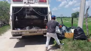 Cuando las unidades se retrasan o de plano no acuden por los desperdicios, los perros rompen las bolsas y riegan los desechos por toda la calle, causando un foco de infección