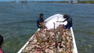 Frentes fríos, los villanos de la pesca: Solo 800 pescadores logran salir al mar
