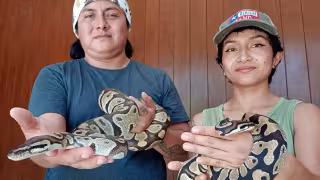 Buscan cambiar el miedo por conocimiento en encuentro con serpientes en Tizimín