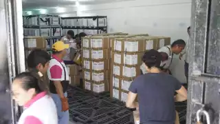 Elección judicial: Campechanos llamados a votar el 1 de junio