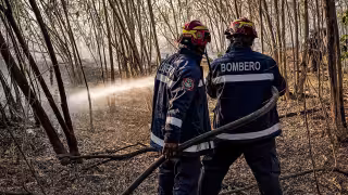 Yucatán supera la temporada de incendios forestales; Campeche resiente los daños más severos