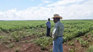 Ernesto Cruz González Denuncia Abandono del Campo Mexicano