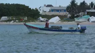 Aunque por ahora no hay riesgo inminente, especialistas y pescadores están atentos a la marea roja