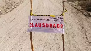 Sin autorización federal, suspenden actividades en 8.6 hectáreas de selva campechana