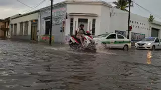 Clima en Yucatán 18 de noviembre: Remanentes de Sara causarán lluvias este lunes 