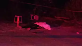 Durante los hechos una persona perdió la vida.