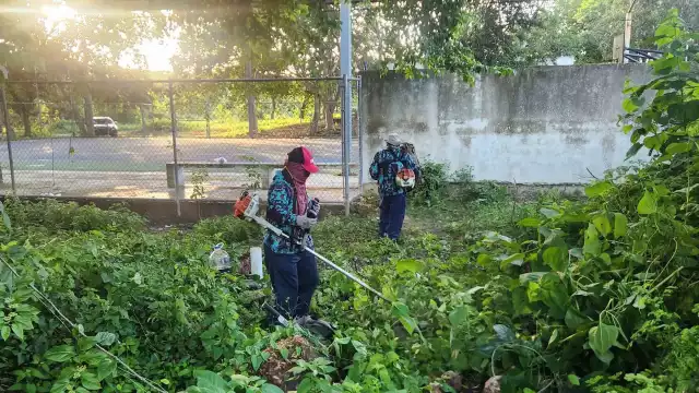 Se construirán Viviendas para el Bienestar en Tahmek