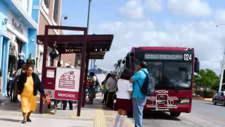 Martín Chang del Río: “Se garantizará traslado aun sin tarjeta”