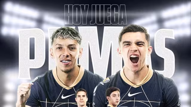 Los felinos buscarán seguir en lo más alto de la cima