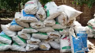  Crisis multifactorial en el campo de Campeche necesita atención urgente: PRI   