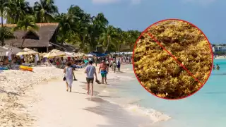 Debido a la ubicación geográfica de la isla y las labores de limpieza, el sargazo casi no llega