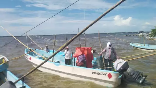 La temporada de pulpo comenzó el primero de agosto tras siete meses y medio de veda.