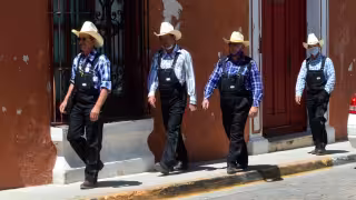 Los menonitas habitan principalmente en municipios de Campeche como Hopelchén y Hecelchakán.