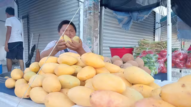 A diferencia de otros años  esta vez bajó la cosecha