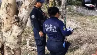 Denuncian acto de violencia animal en el ejido de Pucté en Quintana Roo