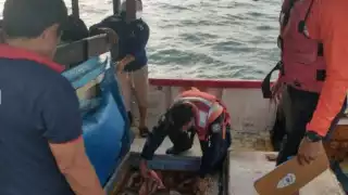 Operativo incauta mil 211 kg de producto, así como artes de pesca y una embarcación menor