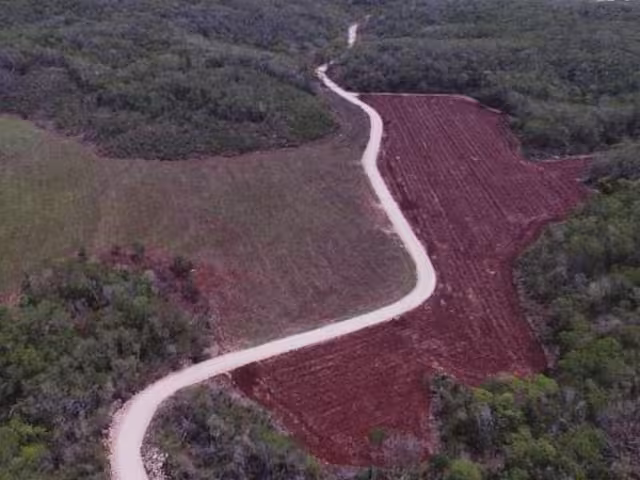 La superficie dañada por menonitas en todo el Estado sería catastrófica